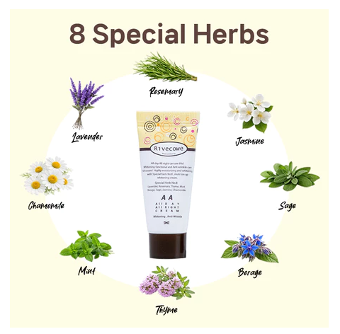 [Rivecowe] Essential All-Night Cream: 3-in-1 Makeup Base, Anti-Wrinkle & Brightening Primer. AA Cream 5ml* (5pcs)